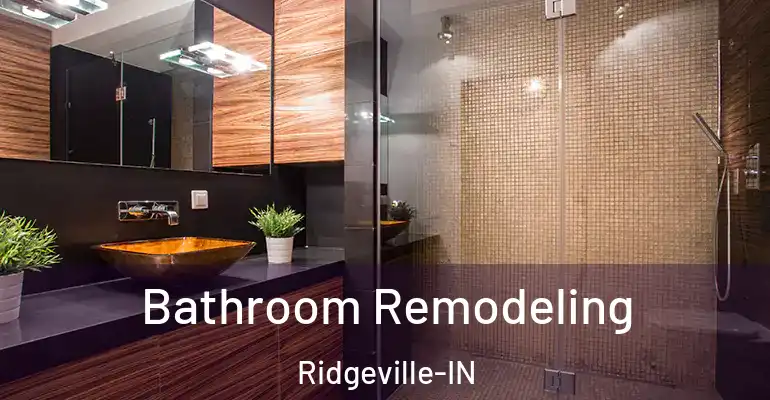 inner Bathroom imggen Bathroom Remodeling Ridgeville-IN