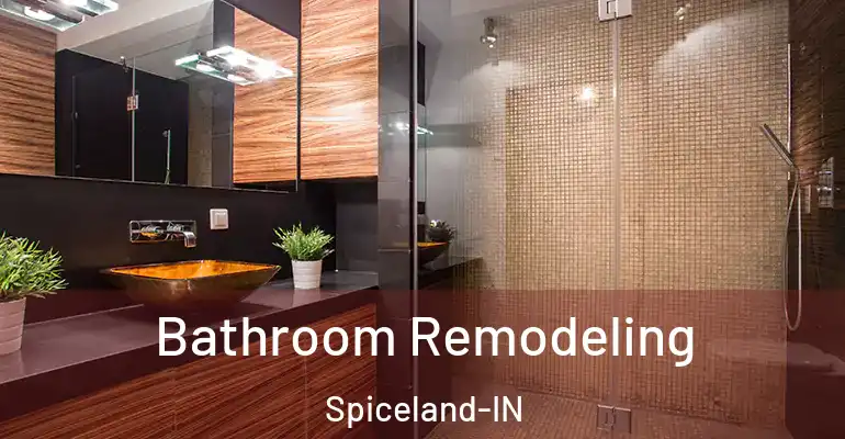 inner Bathroom imggen Bathroom Remodeling Spiceland-IN