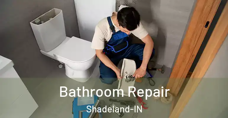 inner Bathroom imggen Bathroom Repair Shadeland-IN