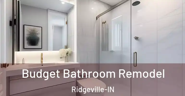 inner Bathroom imggen Budget Bathroom Remodel Ridgeville-IN