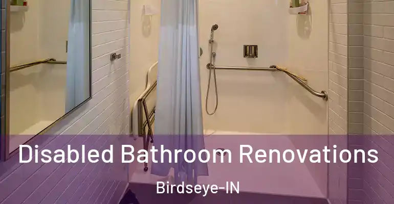 inner Bathroom imggen Disabled Bathroom Renovations Birdseye-IN