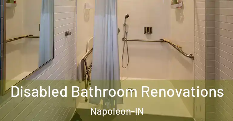 inner Bathroom imggen Disabled Bathroom Renovations Napoleon-IN
