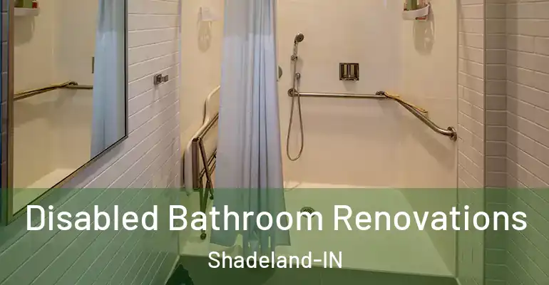 inner Bathroom imggen Disabled Bathroom Renovations Shadeland-IN