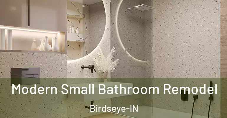 inner Bathroom imggen Modern Small Bathroom Remodel Birdseye-IN
