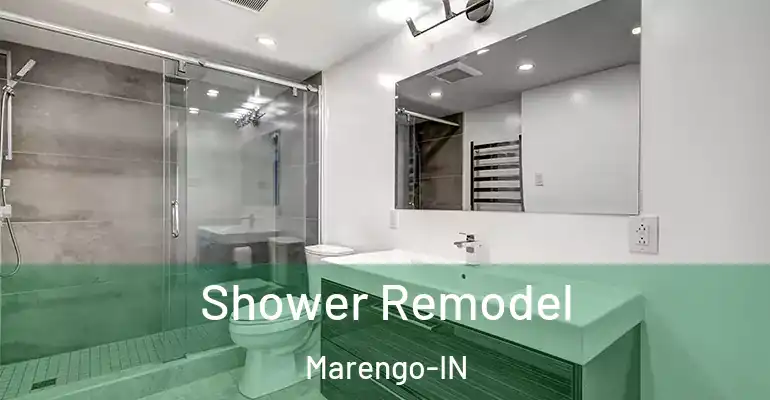 inner Bathroom imggen Shower Remodel Marengo-IN
