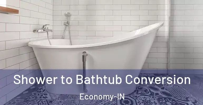inner Bathroom imggen Shower to Bathtub Conversion Economy-IN