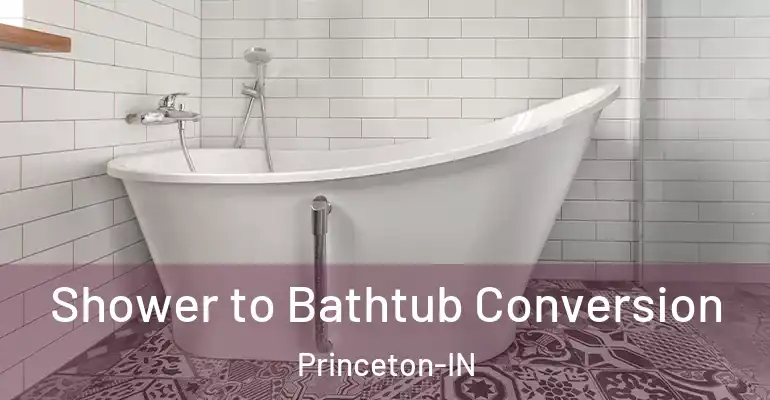 inner Bathroom imggen Shower to Bathtub Conversion Princeton-IN