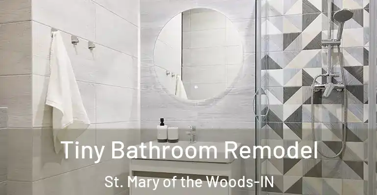 inner Bathroom imggen Tiny Bathroom Remodel St. Mary of the Woods-IN