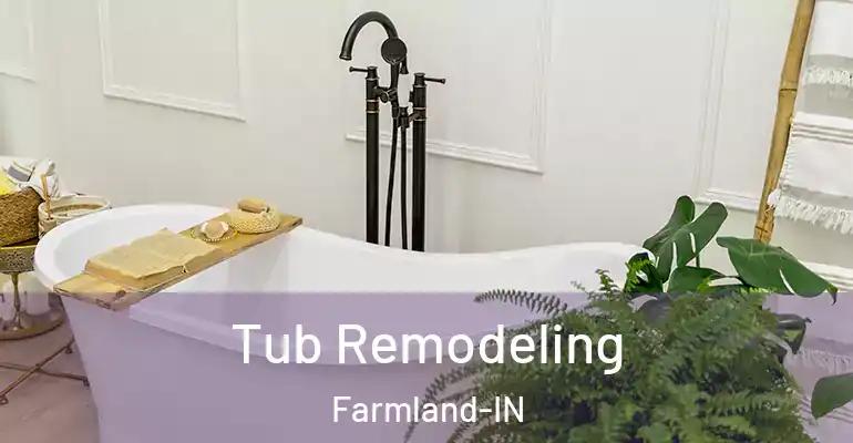 inner Bathroom imggen Tub Remodeling Farmland-IN
