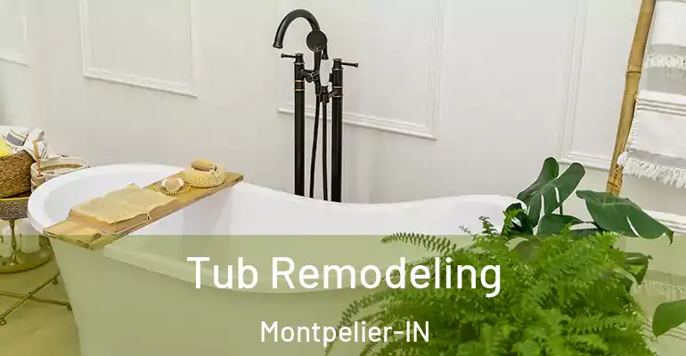 inner Bathroom imggen Tub Remodeling Montpelier-IN
