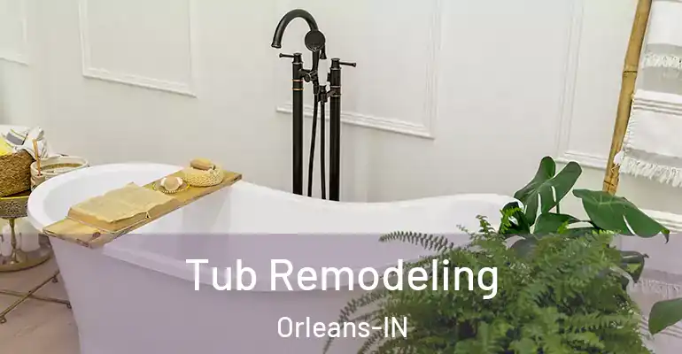 inner Bathroom imggen Tub Remodeling Orleans-IN