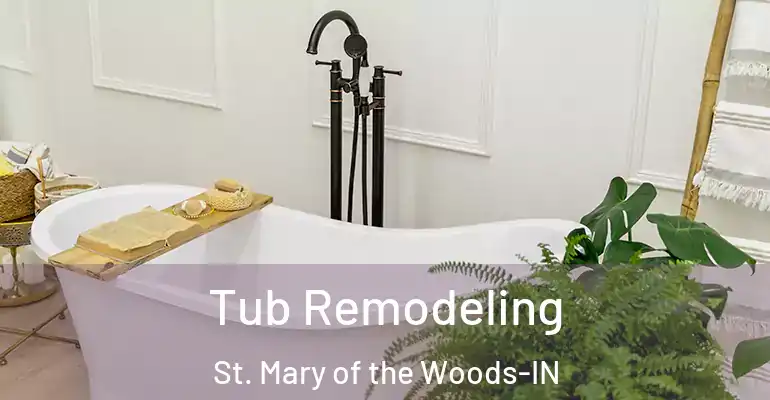 inner Bathroom imggen Tub Remodeling St. Mary of the Woods-IN