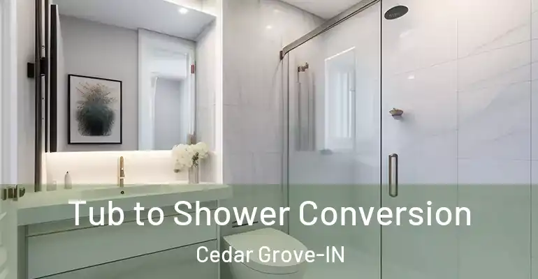 inner Bathroom imggen Tub to Shower Conversion Cedar Grove-IN